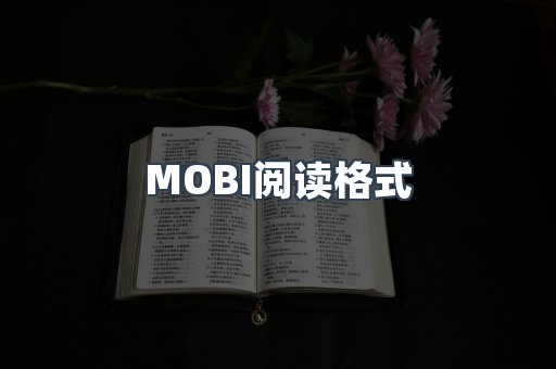 外文电子书系列